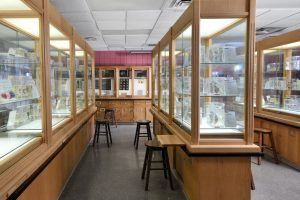 UB Museum of Neuroanatomy